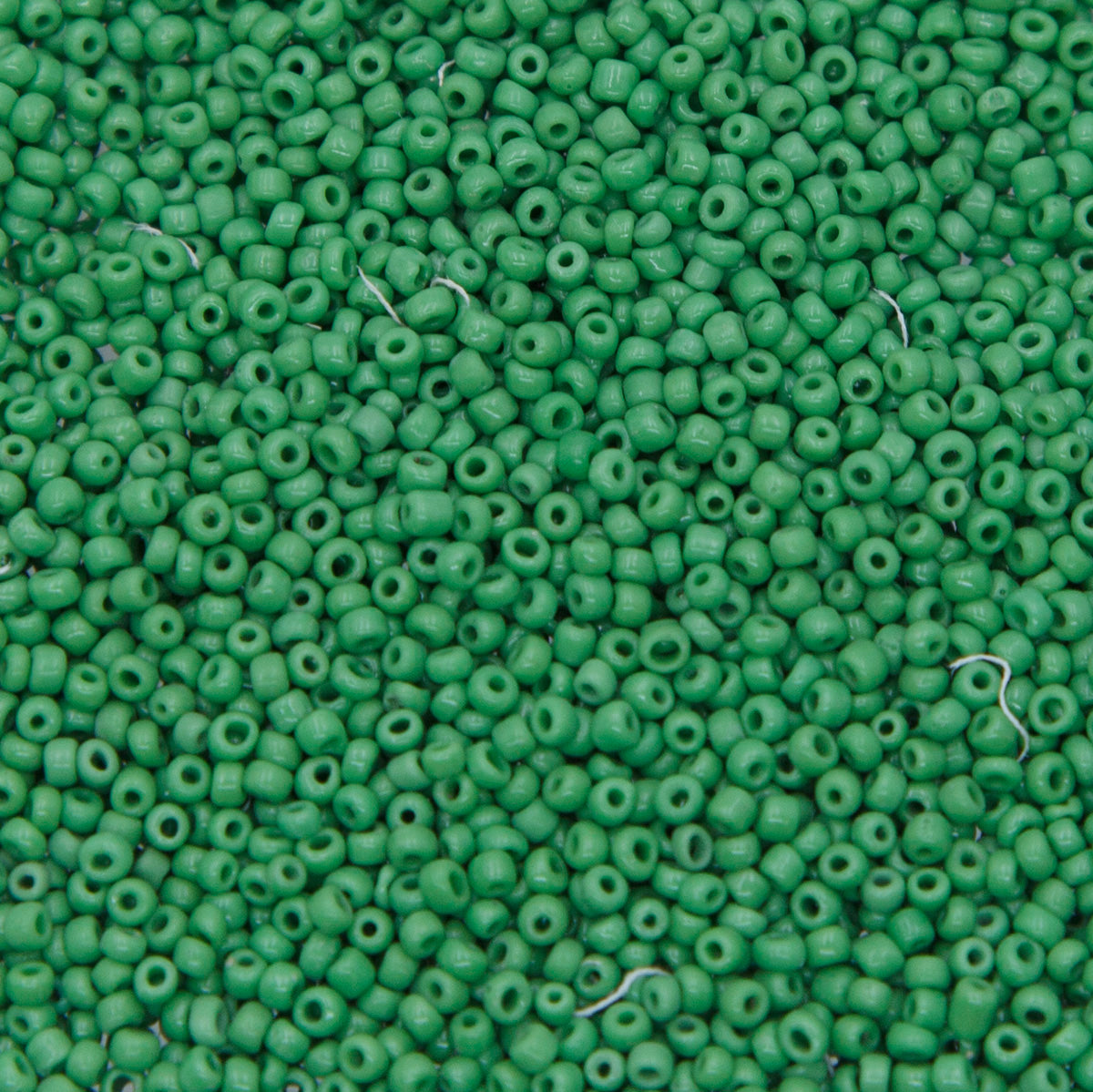 12SV100-41: Vintage Venetian Seed Bead Op Medium Green 12/0