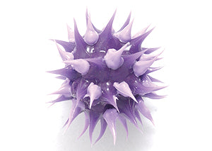 8MS198-96: Rubber Round Dark Purple w/Lt Purple 8mm - 5PPK