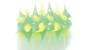 64MS182-22: Rubber Tube Green w/Yellow 15mm - 5PPK