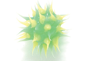 8MS182-22: Rubber Round Green w/Yellow 8mm - 5PPK