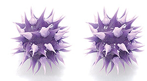 6MS198-96: Rubber Round Dark Purple with Light Purple 6mm - 5PPK