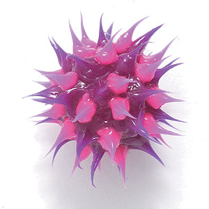 10MS198-92: Rubber Round Purple w/Pink 10mm - 5PPK