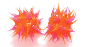 6MS134-92: Rubber Round Orange w/Pink 6mm - 5PPK