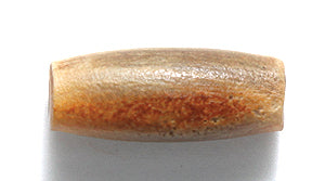 18HP155: Horn Pipe Burnt Light 3/4 Inch 40 Pieces