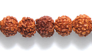 6WO157: Rudraksha Red/brown 6-7mm 100 Piece Per Strand - String