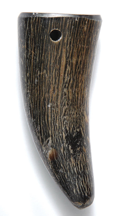 HR120-1N: Buffalo Horn Natural Tip 2inch Base Hole 3 Pieces