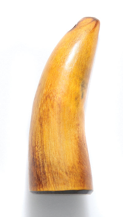 HR120: Buffalo Horn Burnt Tip 2 Inch Tip Hole 2 Pieces