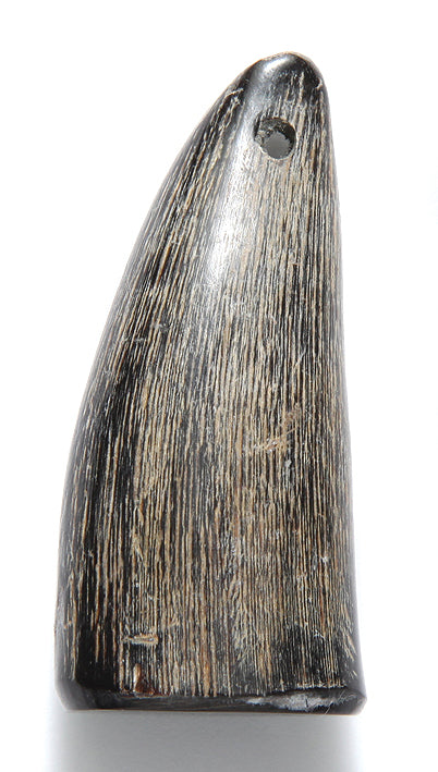HR120-N: Buffalo Horn Natural Tip 2 Inch Tip Hole 2 Pieces