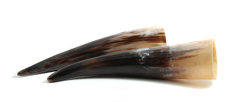 HR100-13SP: Steer Horn 12IN Average Pair - 1 Pair