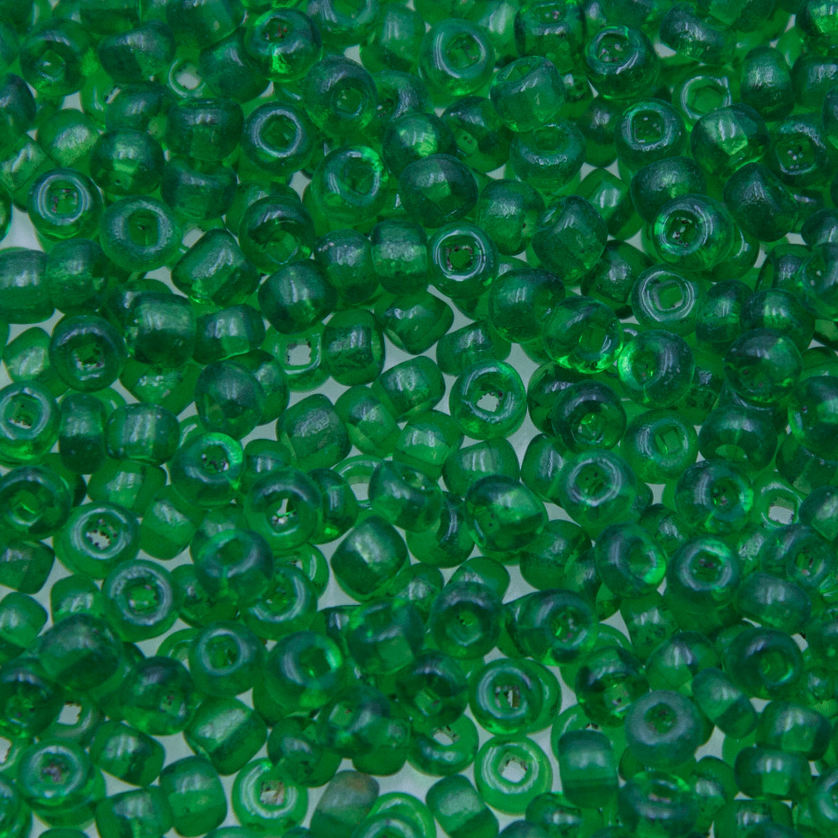 6SV100-24: Vintage Venetian Seed Bead Sq-H Tr Dark Green 6/0