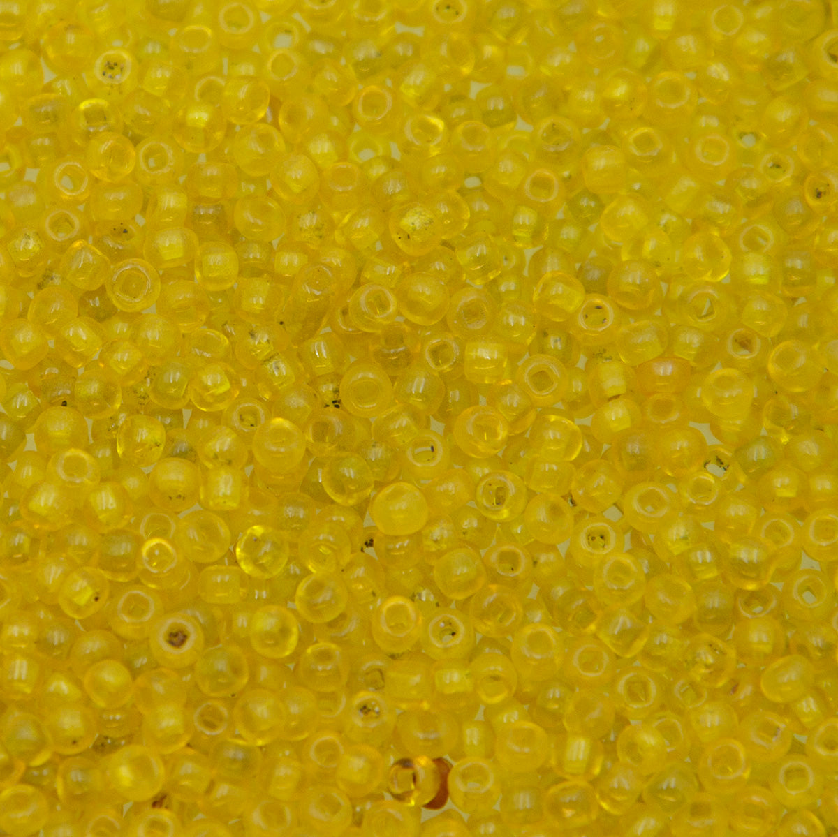8SV100-35: Vintage Venetian Seed Bead Sq-H Tr Dark Yellow 8/0