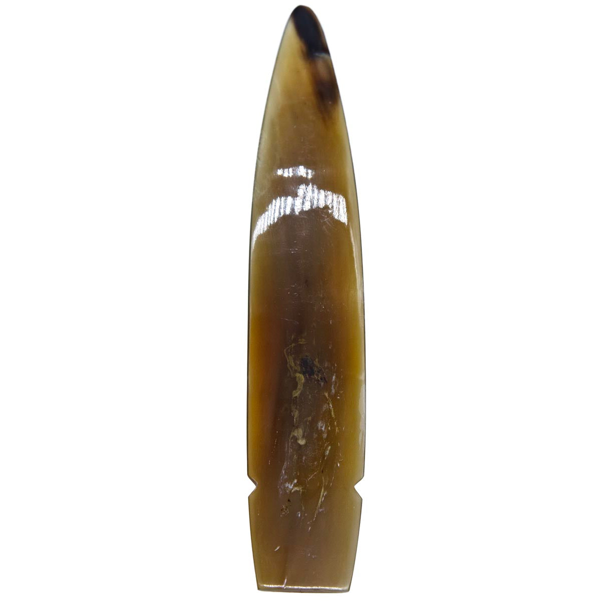 HR293: Horn Spear Head 32x180mm 7 Inch Natural