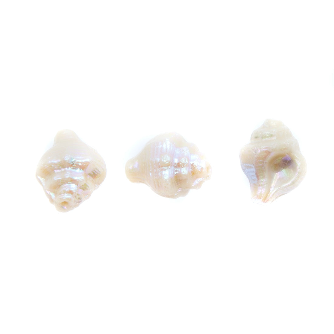 SH002: Czech Shell Bead 15x12mm