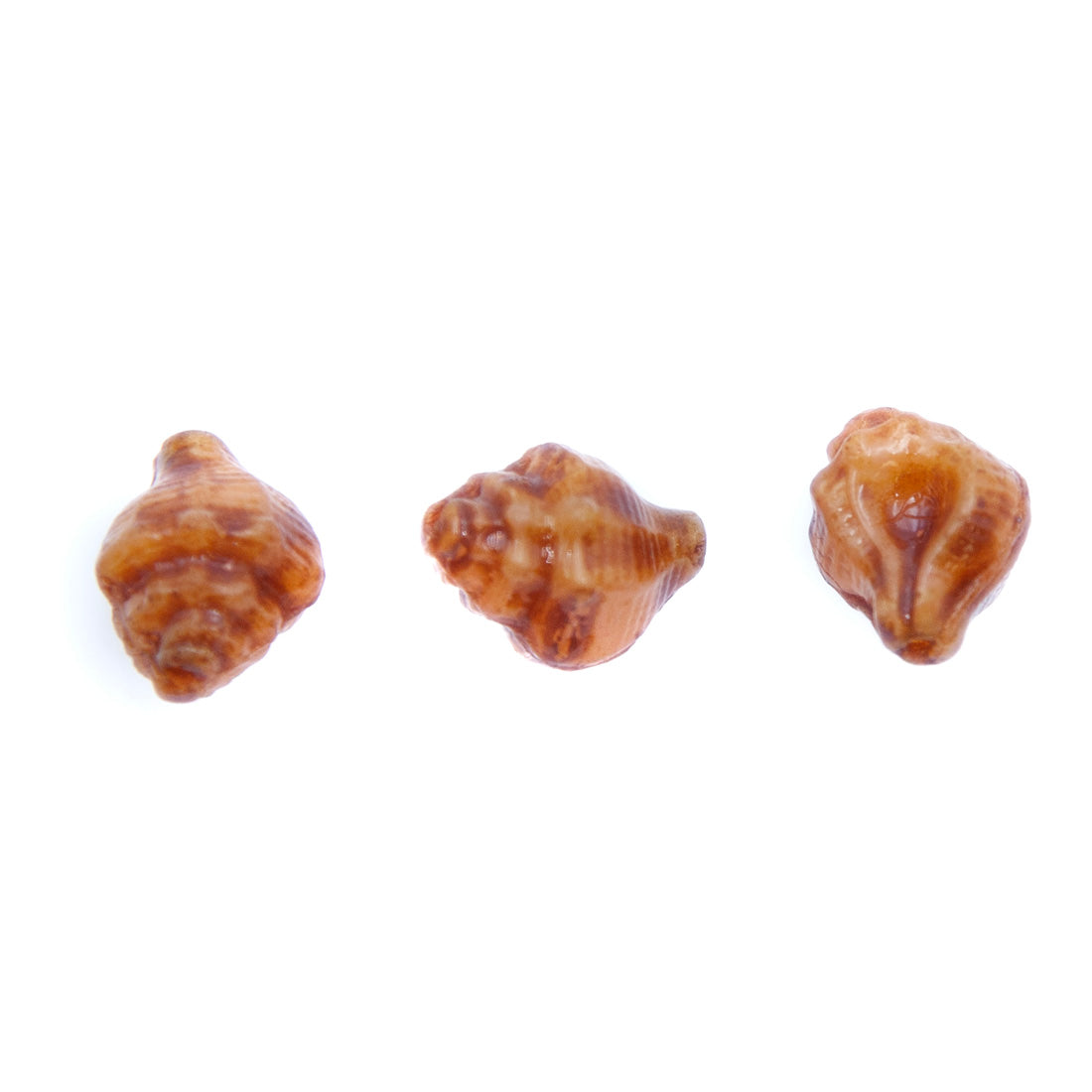 SH015: Czech Shell Bead 15x12mm