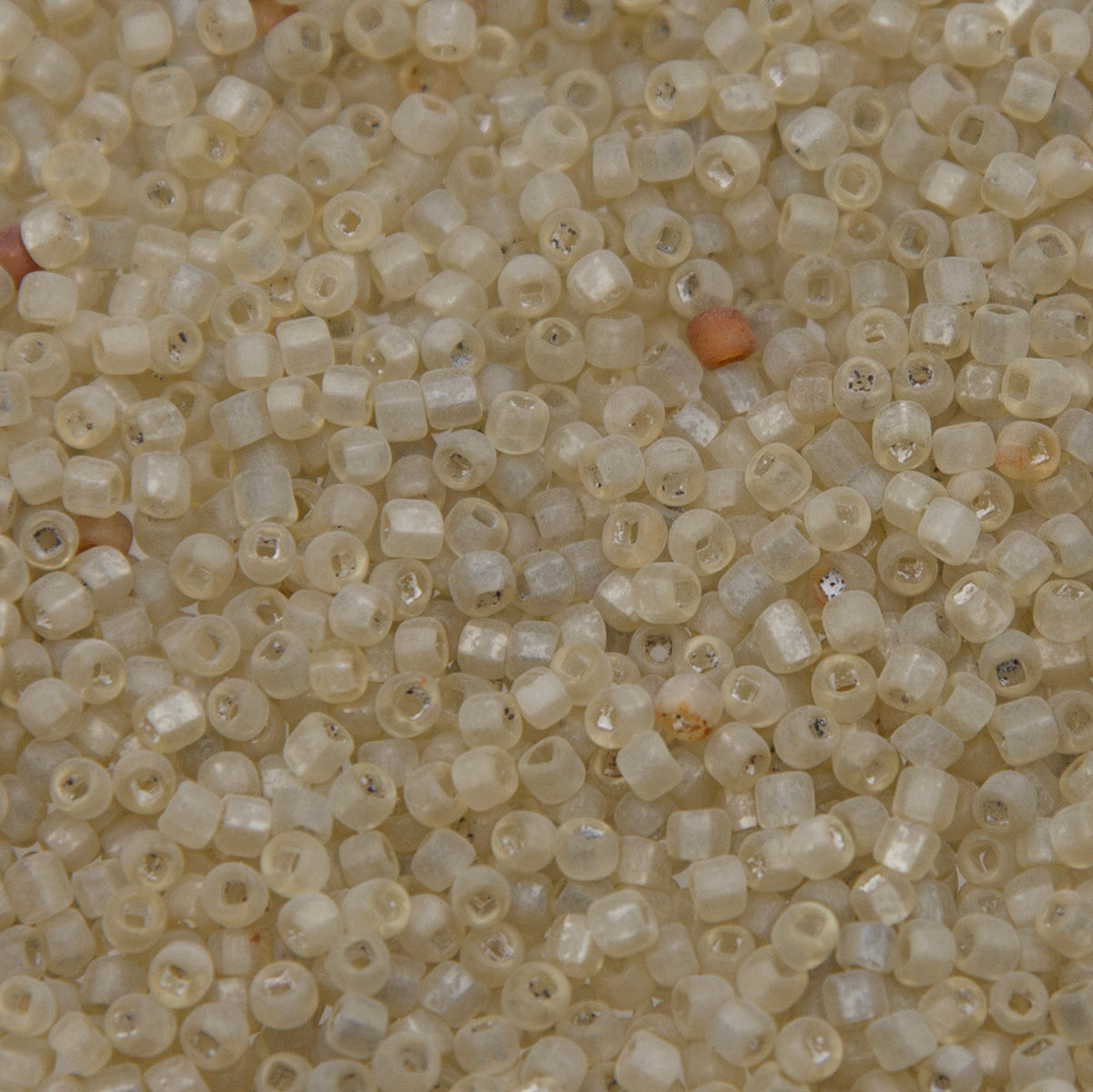 SV100-139: Vintage Venetian Seed Bead Greenish Crystal SQ Hole Frosted 10/0 - 250 Grams