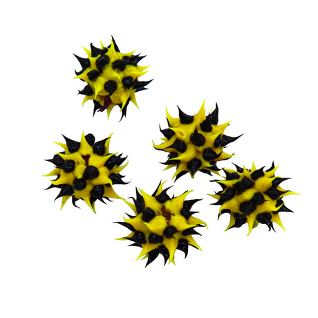 10MS122-09: Rubber Round Yellow w/Black 10mm - 5PPK