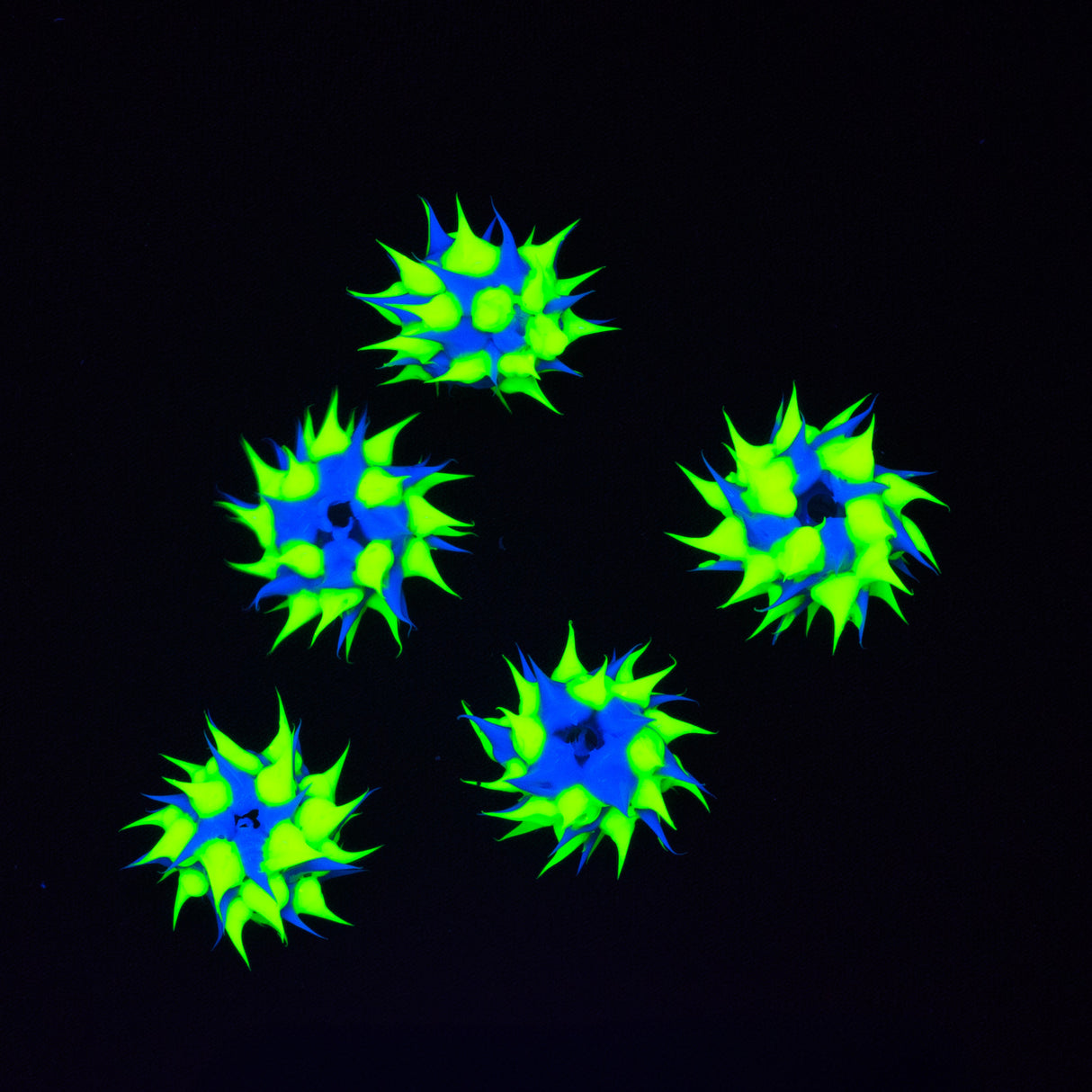 10MS174-22: Rubber Round Blue w/Yellow 10mm - 5PPK
