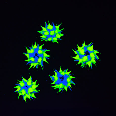 10MS174-22: Rubber Round Blue w/Yellow 10mm - 5PPK