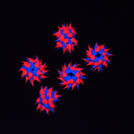 10MS174-92: Rubber Round Blue w/Pink 10mm - 5PPK