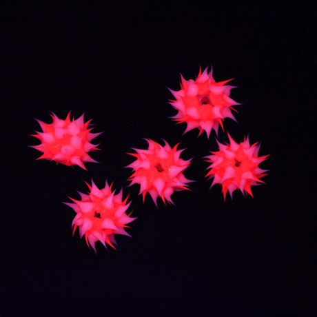 10MS192-12: Rubber Round Pink w/Clear 10mm - 5PPK
