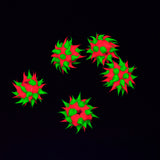10MS192-82: Rubber Round Pink w/Green 10mm - 5PPK