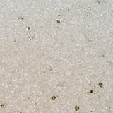 10SV212-2R: Vin Ven Seed Bead Crystal #2 10/0 - 50GM