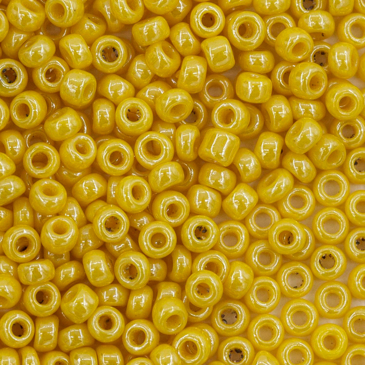 Antique Venetian 10/0 Seed Bead Opaque Luster Dandelion #1 - 10 Grams