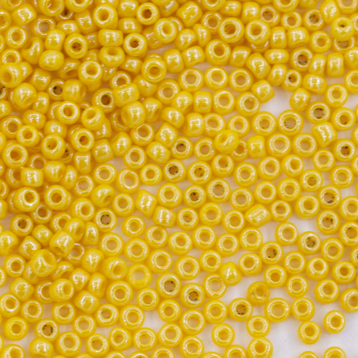 Antique Venetian 10/0 Seed Bead Opaque Luster Dandelion #1 - 10 Grams