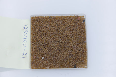 12SV100-21: VIN VEN TRNS Light Brown 12/0 250GM