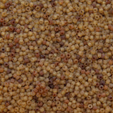 12SV253-19R: Vin Venetian Seed Bead Trans Gold #19 Unfinished 12/0-50GMs