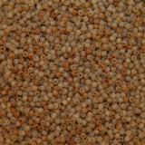 12SV253-3UR: Vin Venetian Seed Bead Trans Gold #3 Unfinished 12/0-50GMs