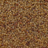 12SV253-4UR: Vin Venetian Seed Bead Trans Gold #4 Unfinished 12/0-50GMs