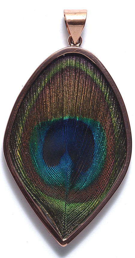 99FR599-CP: Peacock Eye PNDT CPPR 50-70mm