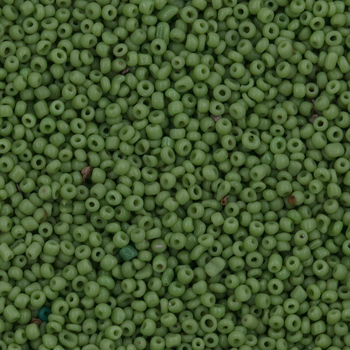 Antique Venetian Micro Seed Bead Opaque Spring Green #1 (18/0) - 10 Grams