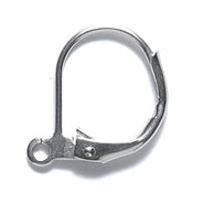 FI535-SU: Earring Lever Back Surgical Steel 24PR