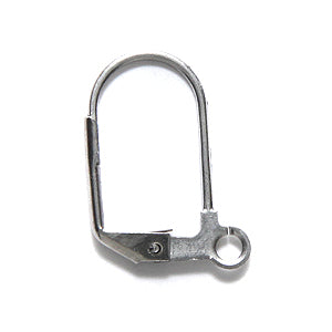 FI43-SN: Earring Lever Back Stainless Steel - 6PR
