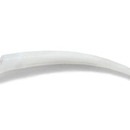 24DT111: Shell Dentalium Ridged .6-1IN 650pc/100GM