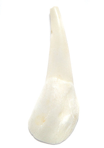 BN351-2: Tooth Water Buffalo 40-45mm Average 10 Pieces