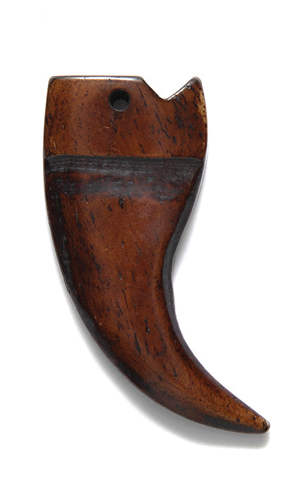 BN375-57: Bone Claw Shape Brown 22x46mm 3 Pieces