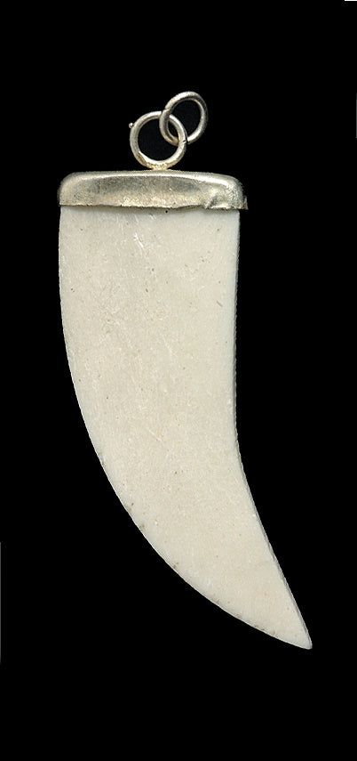 BN295: Bone Claw Shape Pendant 19x45mm 1 Piece