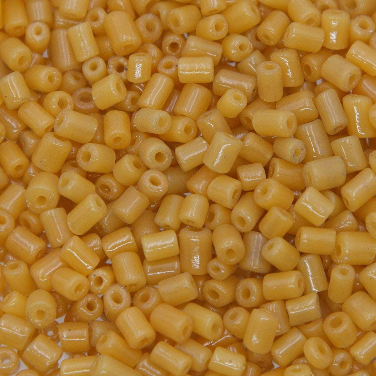 2SV100-28: Vintage Venetian Bugle Lstr Dark Greasy Yellow #2