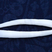 40DT112: Smooth Dentalium Shells 1.5-2" 25 Grams