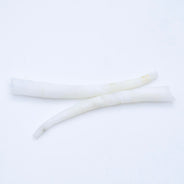 40DT112-250: Shell Dentalium 1.5-2 inch 250 Grams