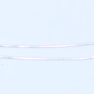 40FI61-SPL: Head Pin 1.5mm Ball SPL 40mm 22 Gauge 50PPK