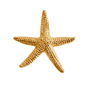 NDMEMSF-BB: Nunn Brass Stamping Starfish 18mm