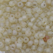 4SV100-19: Vintage Venetian Seed Bead Sq-H Tr Frostd Lt Yelllow 4/0