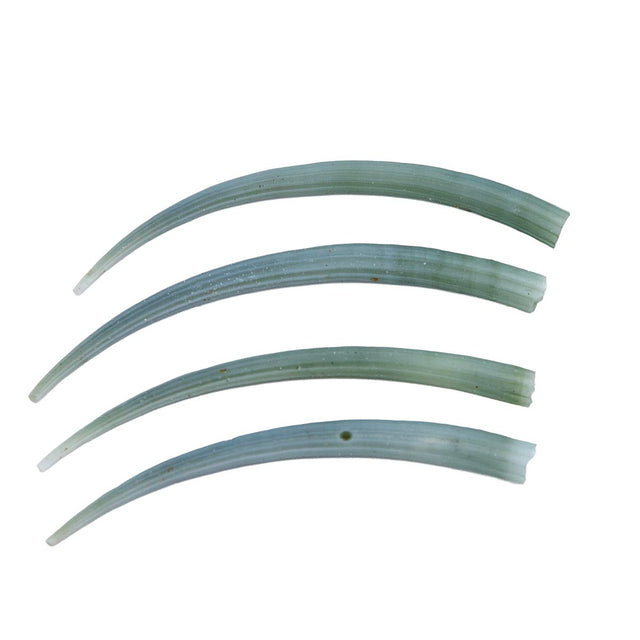 62DT180: Green Dentalium Shell 2.5-2.75 inches - 4PC