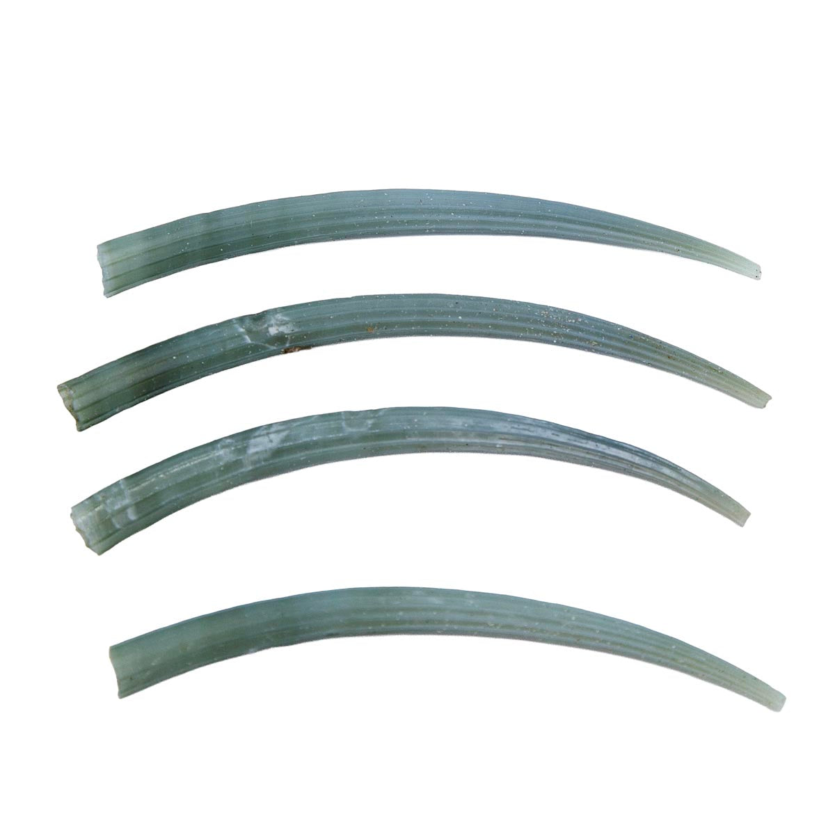 68DT180: Green Dentalium Shell 2.75-3 inches - 4PC
