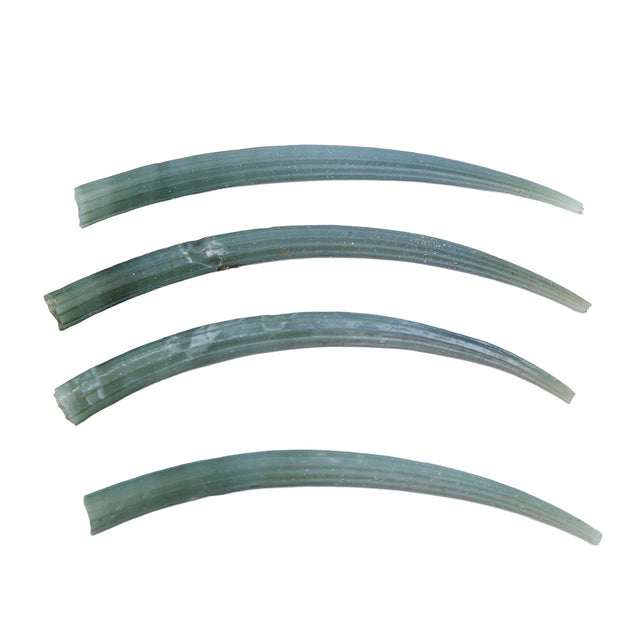 68DT180: Green Dentalium Shell 2.75-3 inches - 4PC