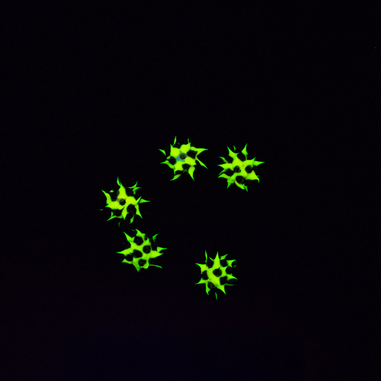 6MS122-09: Rubber Bead Round Yellow With Black 6mm - 5PPK